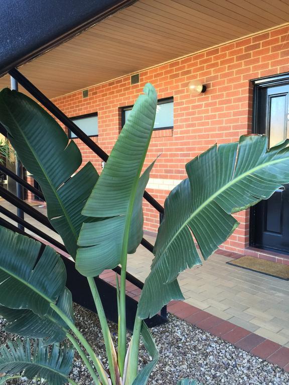 Caledonian Hotel Motel Echuca Chambre photo
